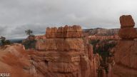 bryce-canyon-np-43